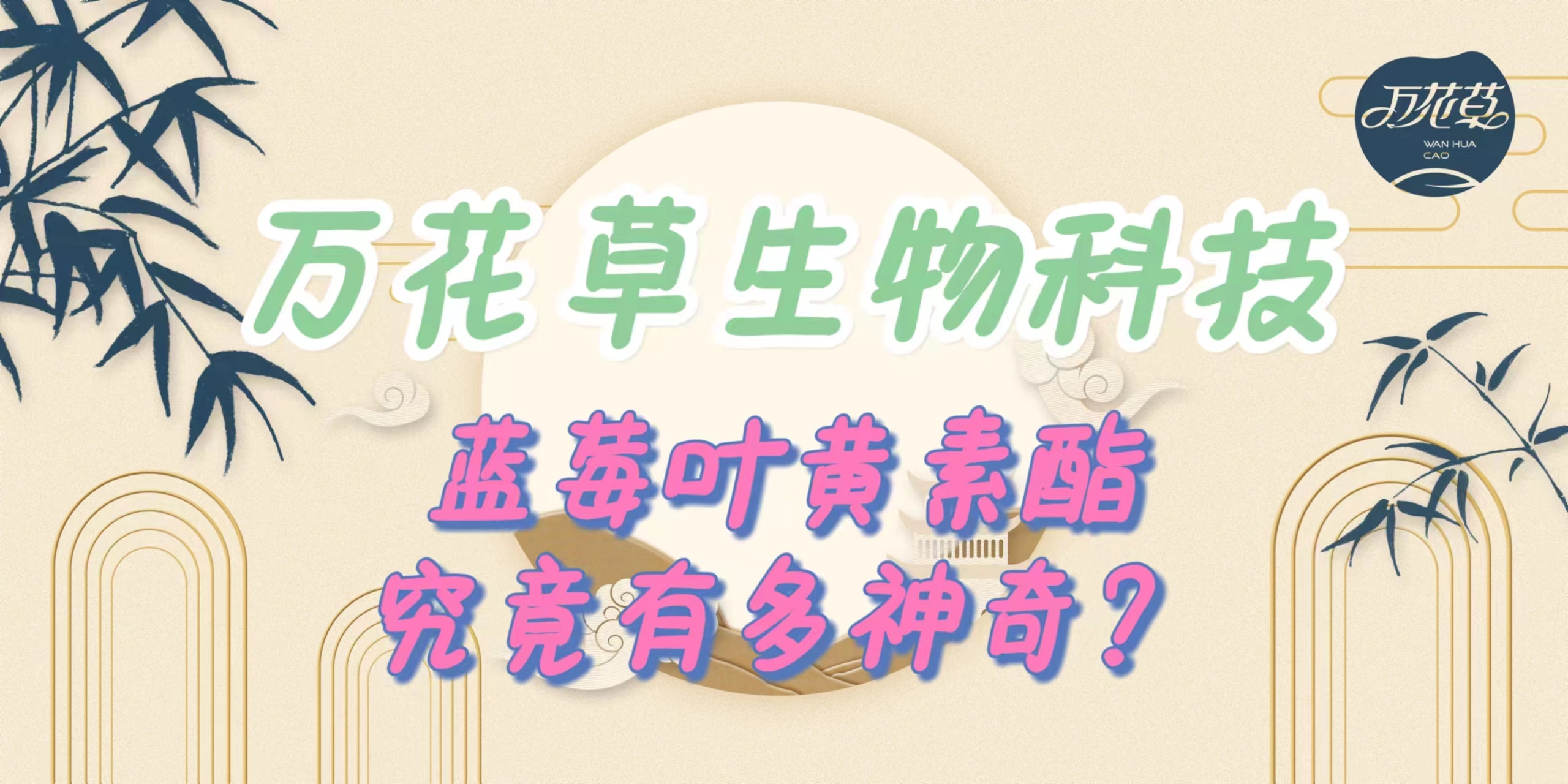 升級配方，重磅出擊，萬花草藍莓葉黃素酯究竟有多神奇？